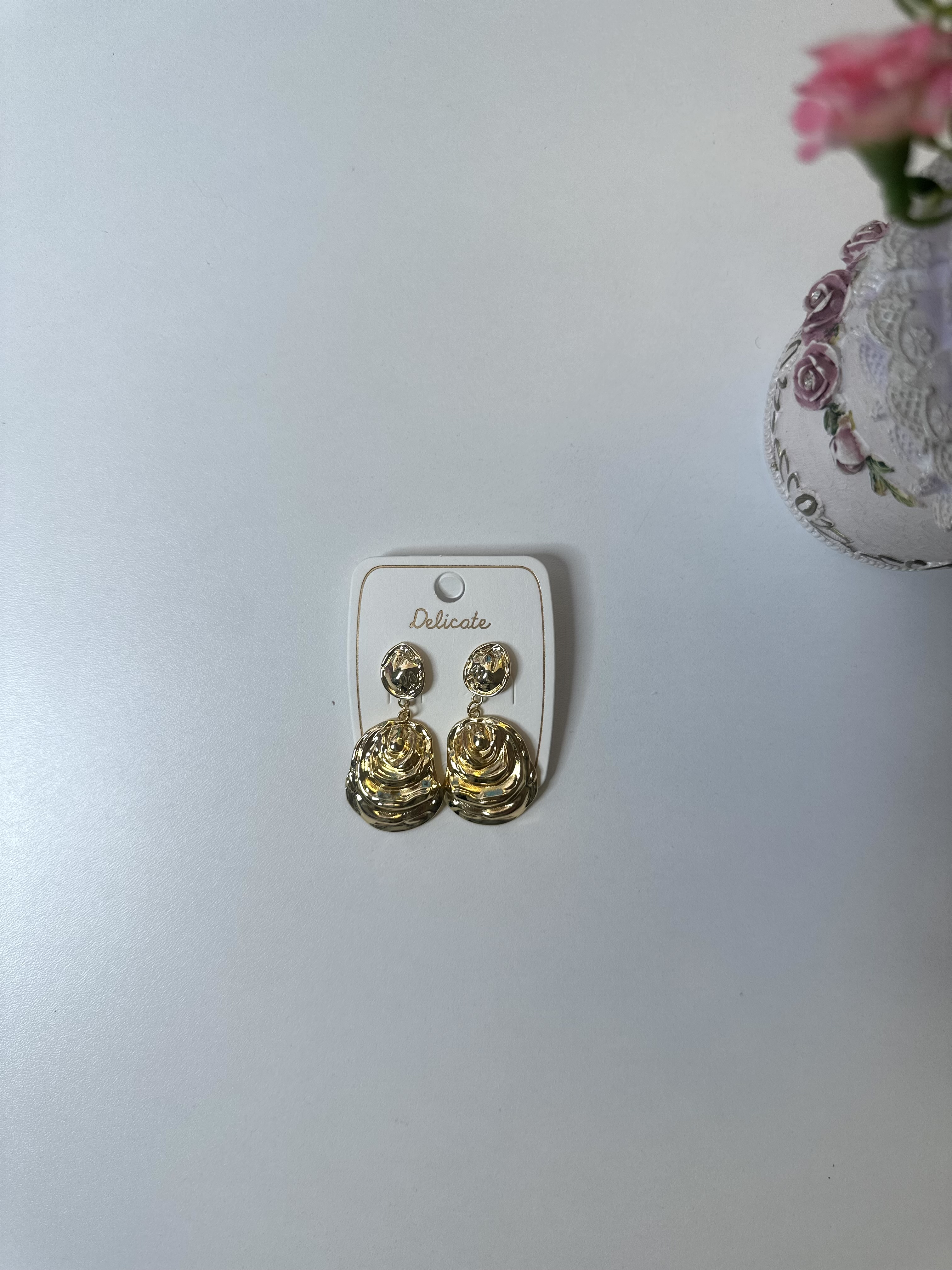 Earrings Stainless Steel A436